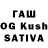 Галлюциногенные грибы Psilocybine cubensis Ismail Khoka