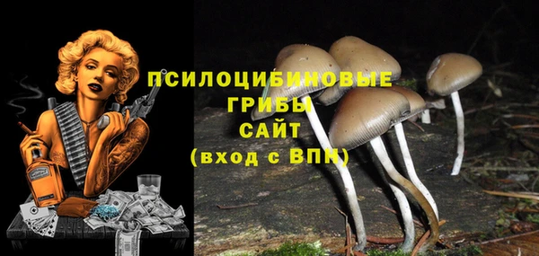 гидропоника Балабаново